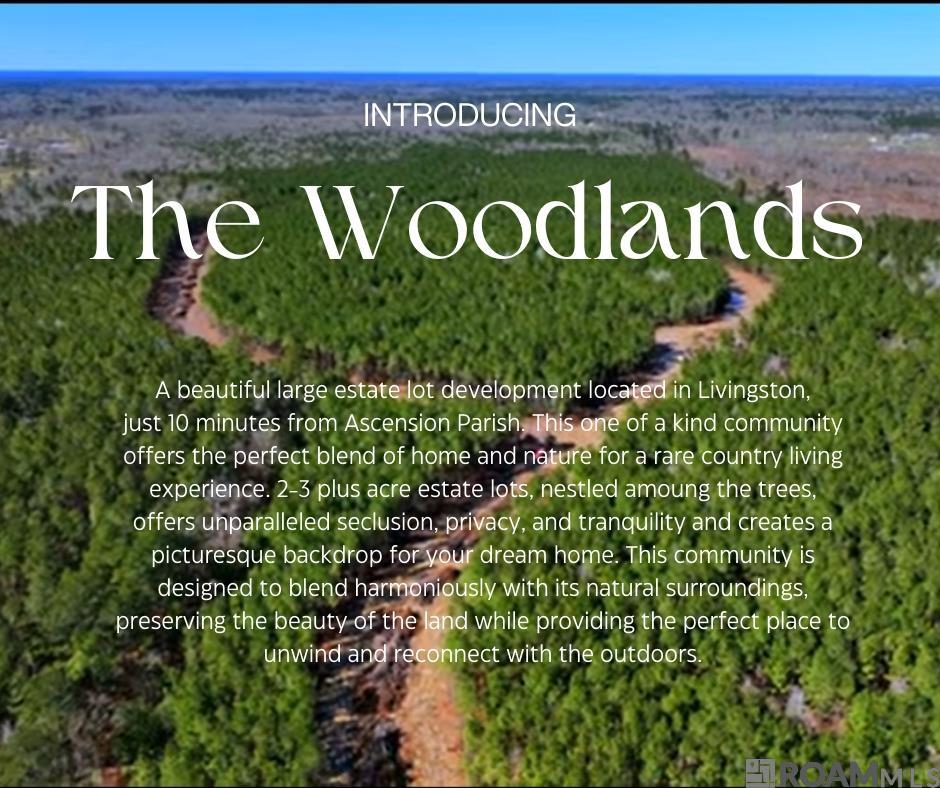 Lot 19 Honey Grove, Livingston, Louisiana image 1