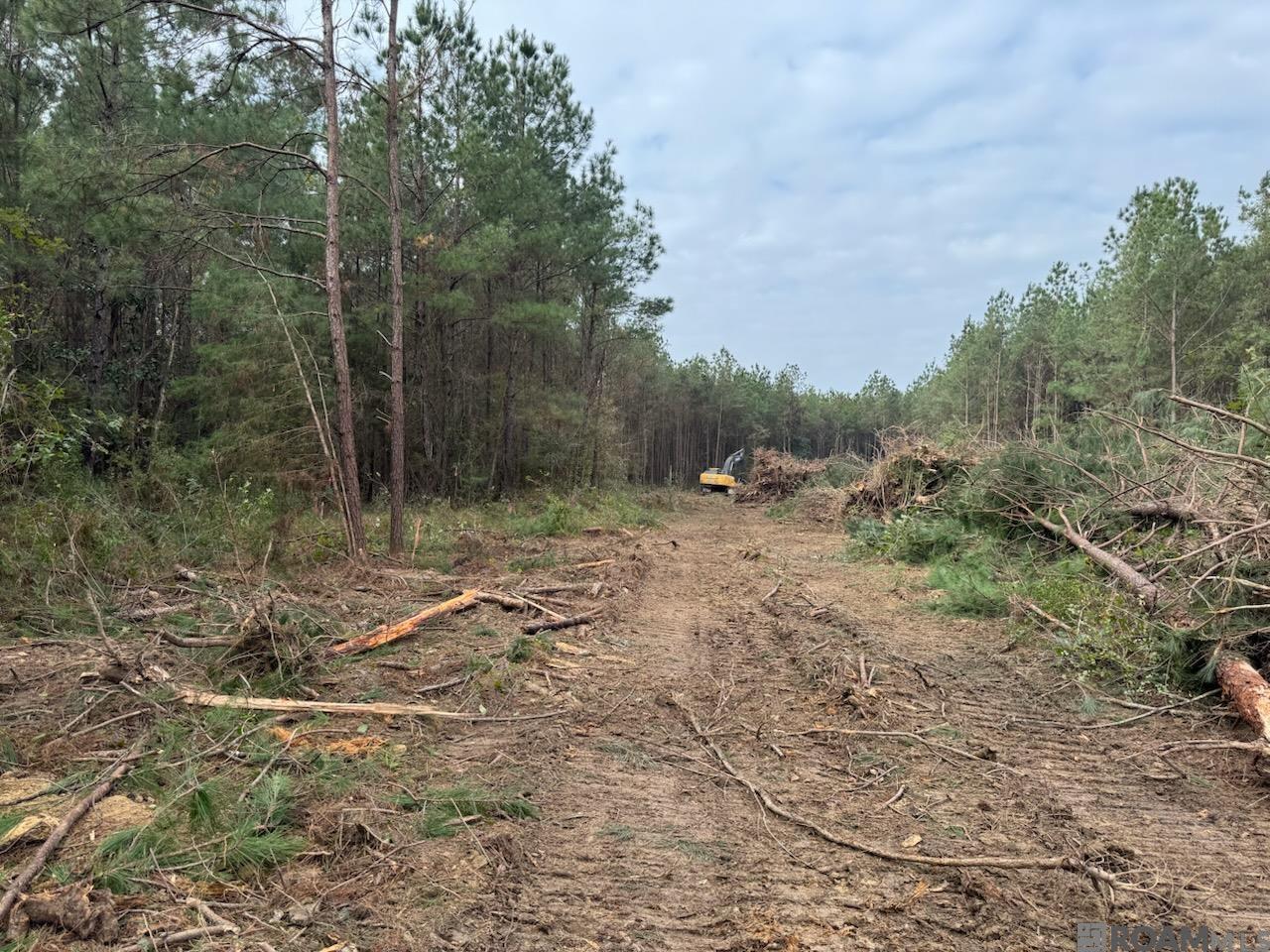Lot 19 Honey Grove, Livingston, Louisiana image 7