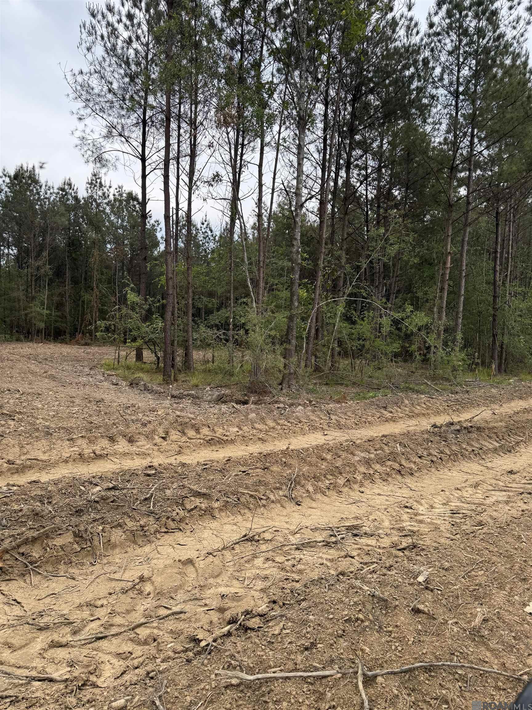 Lot 19 Honey Grove, Livingston, Louisiana image 3