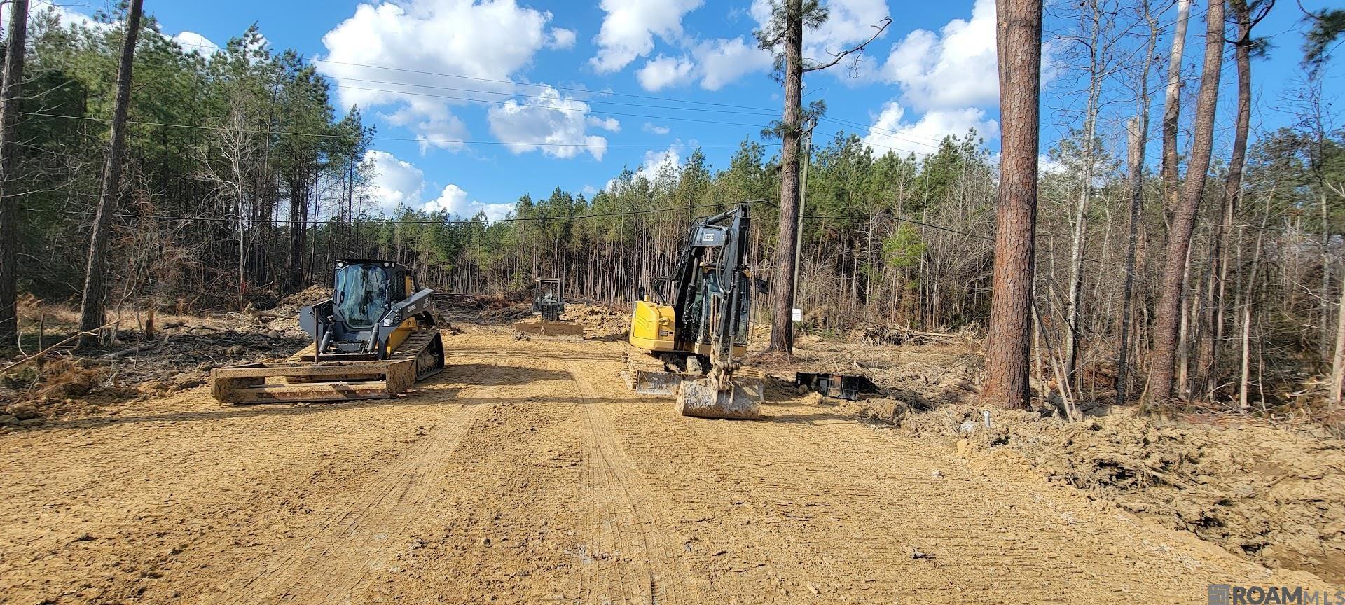 Lot 19 Honey Grove, Livingston, Louisiana image 8