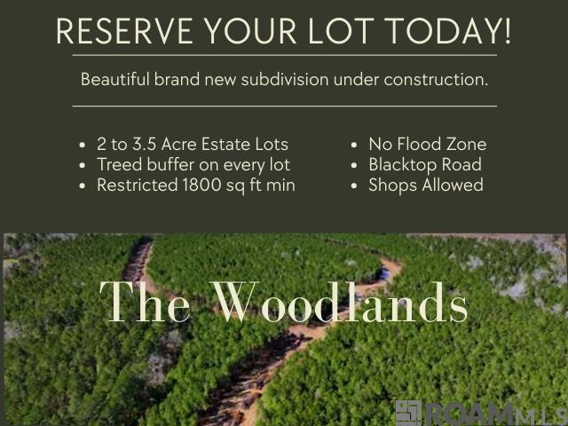 Lot 19 Honey Grove, Livingston, Louisiana image 1