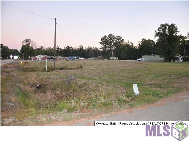 Springfield Rd, Denham Springs, Louisiana image 7