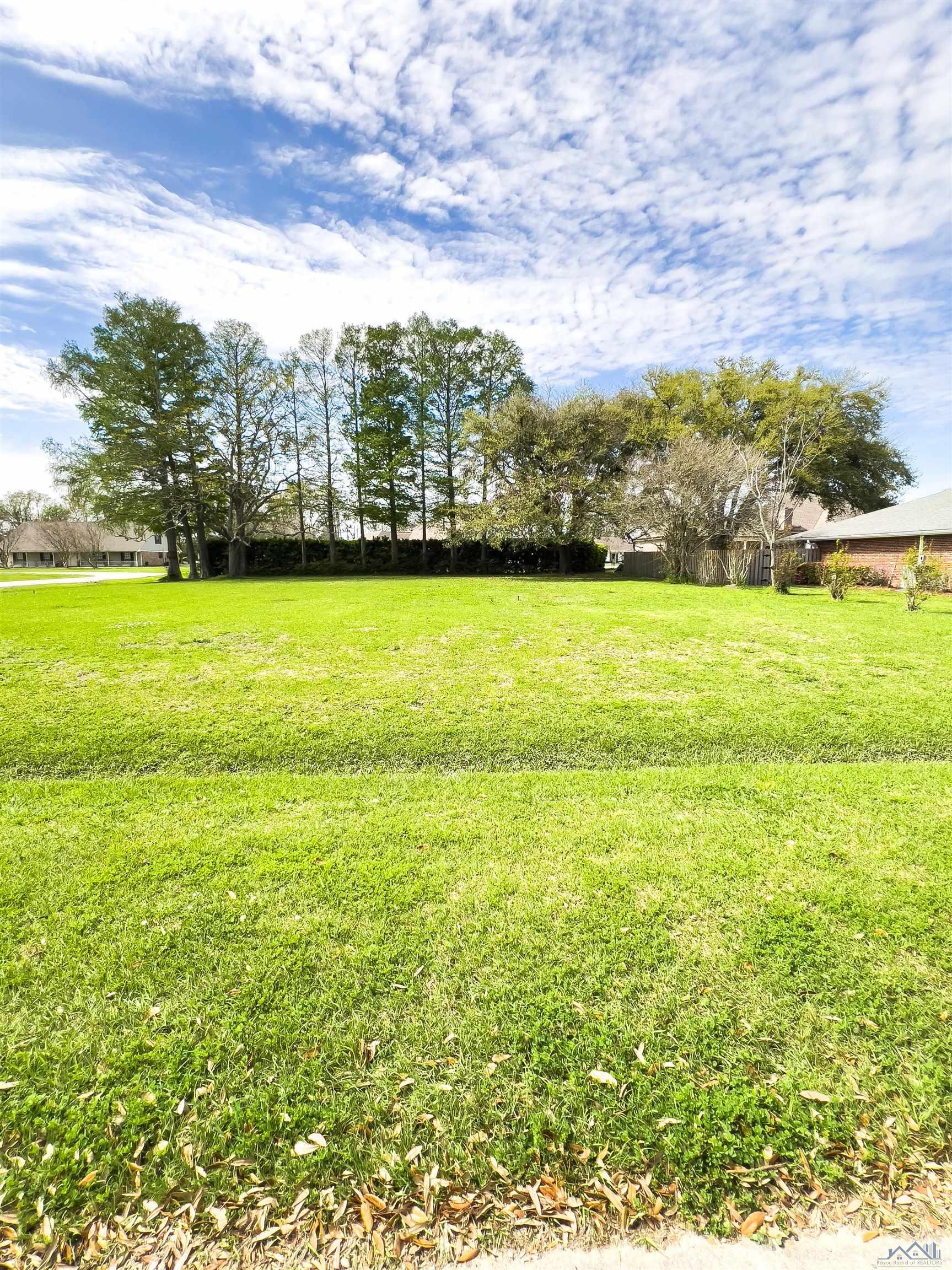 TBD Cedar Tree Drive, Thibodaux, Louisiana image 4