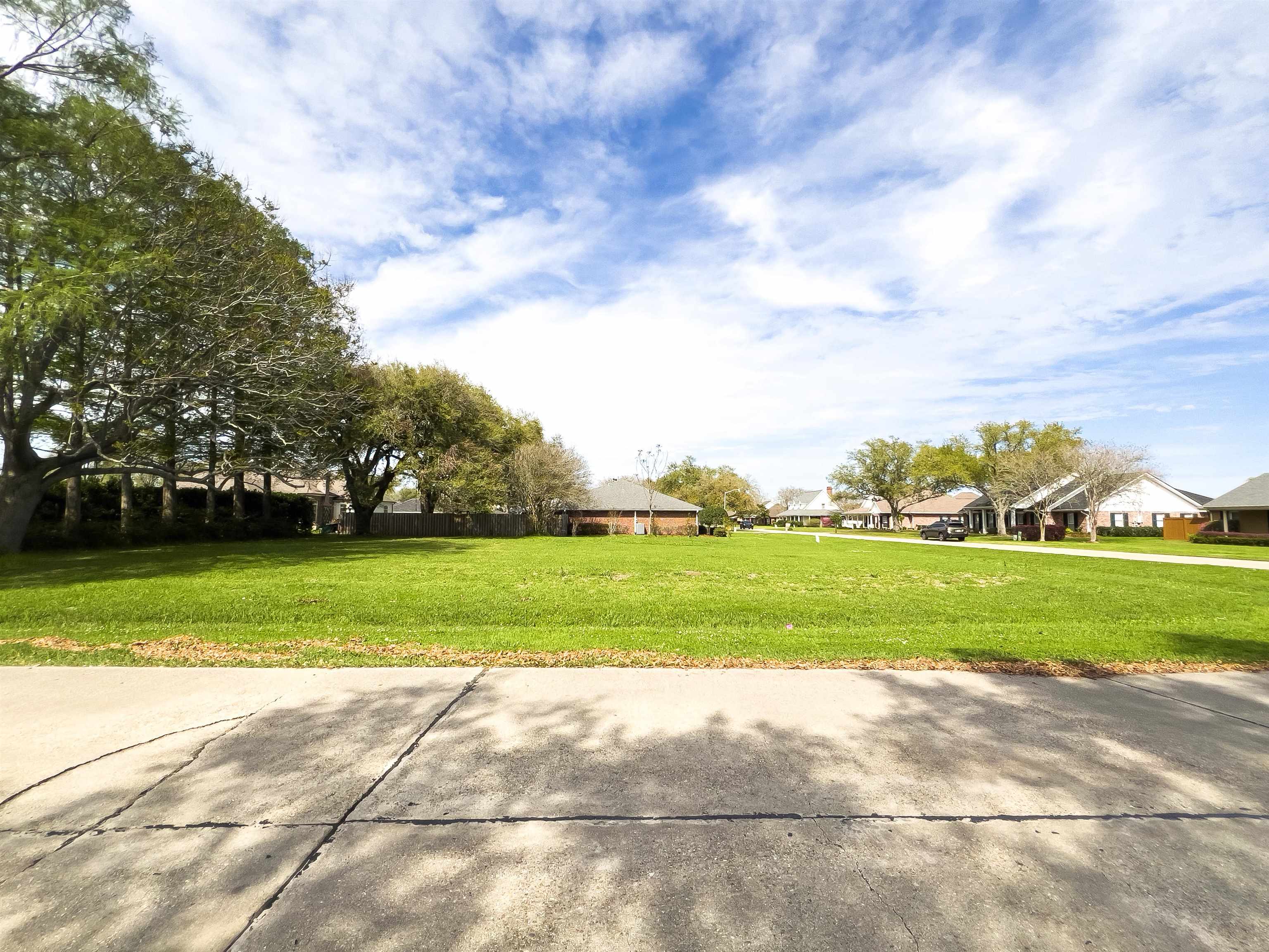 TBD Cedar Tree Drive, Thibodaux, Louisiana image 1