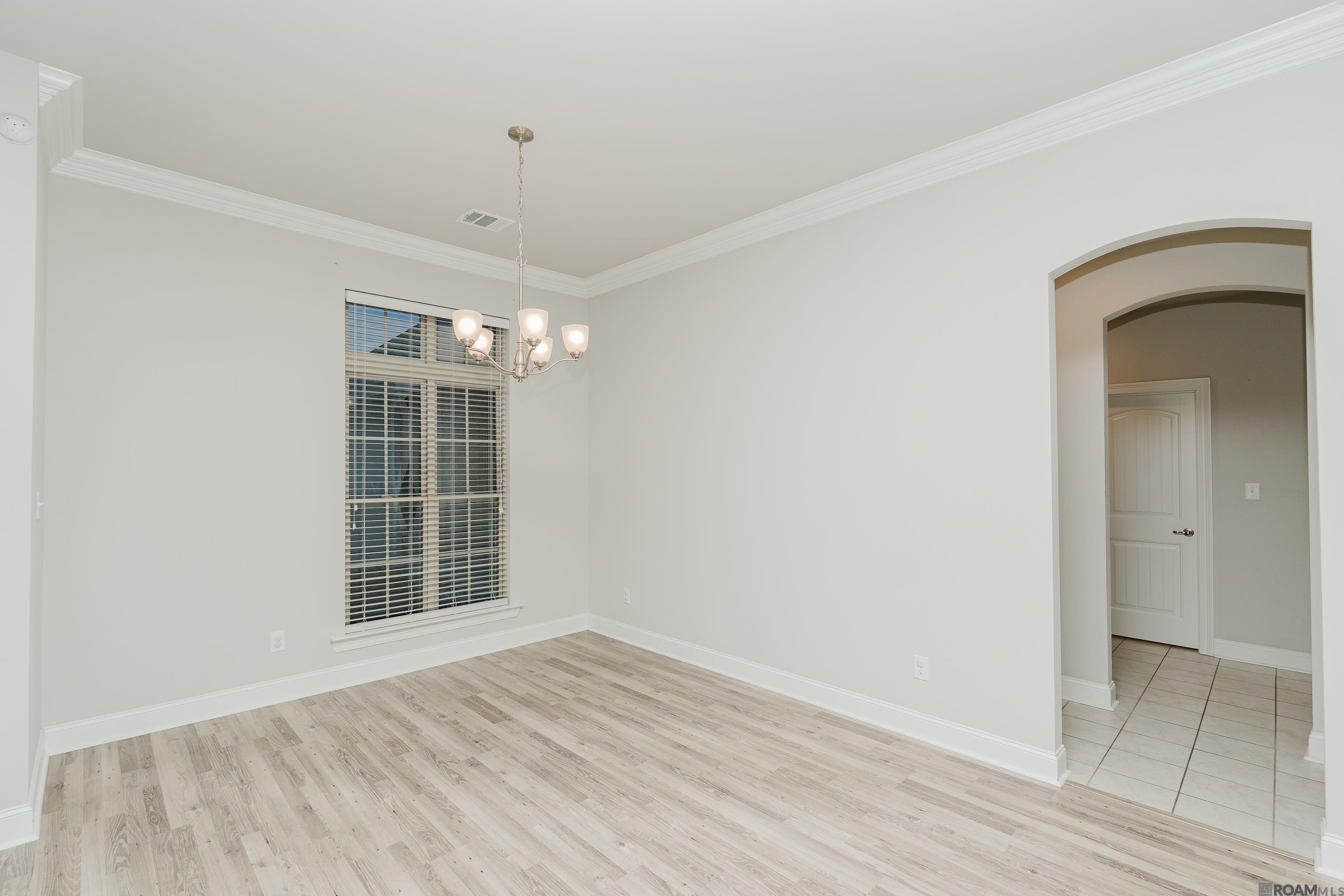 18133 River Landing Dr, Prairieville, Louisiana image 10