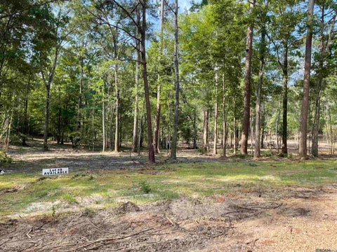 Vacant Land For Sale - 8177 Hepzibah Rd<br/> Clinton, LA 70722