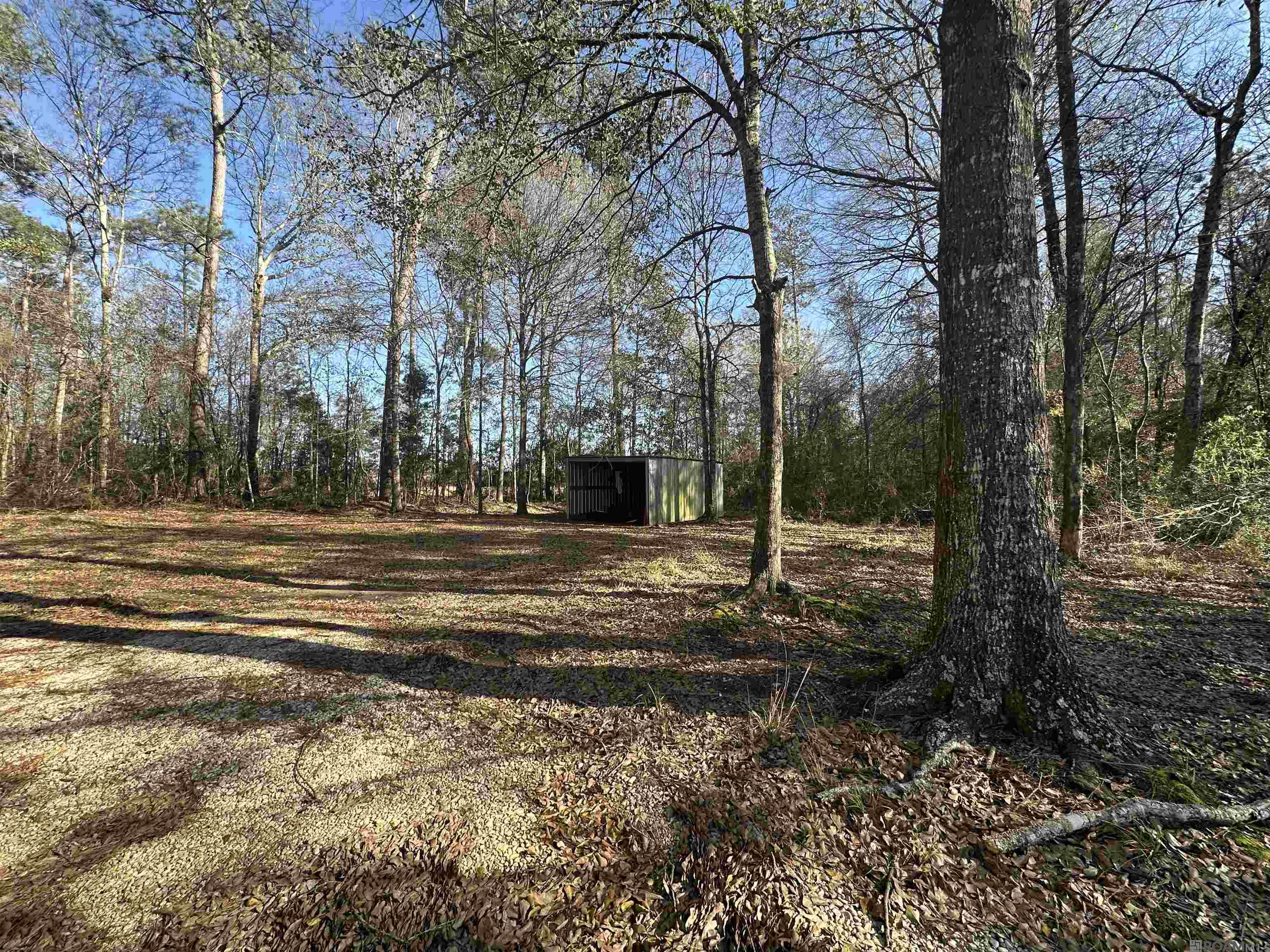 89 Sibley Rd, Pine Grove, Louisiana image 10