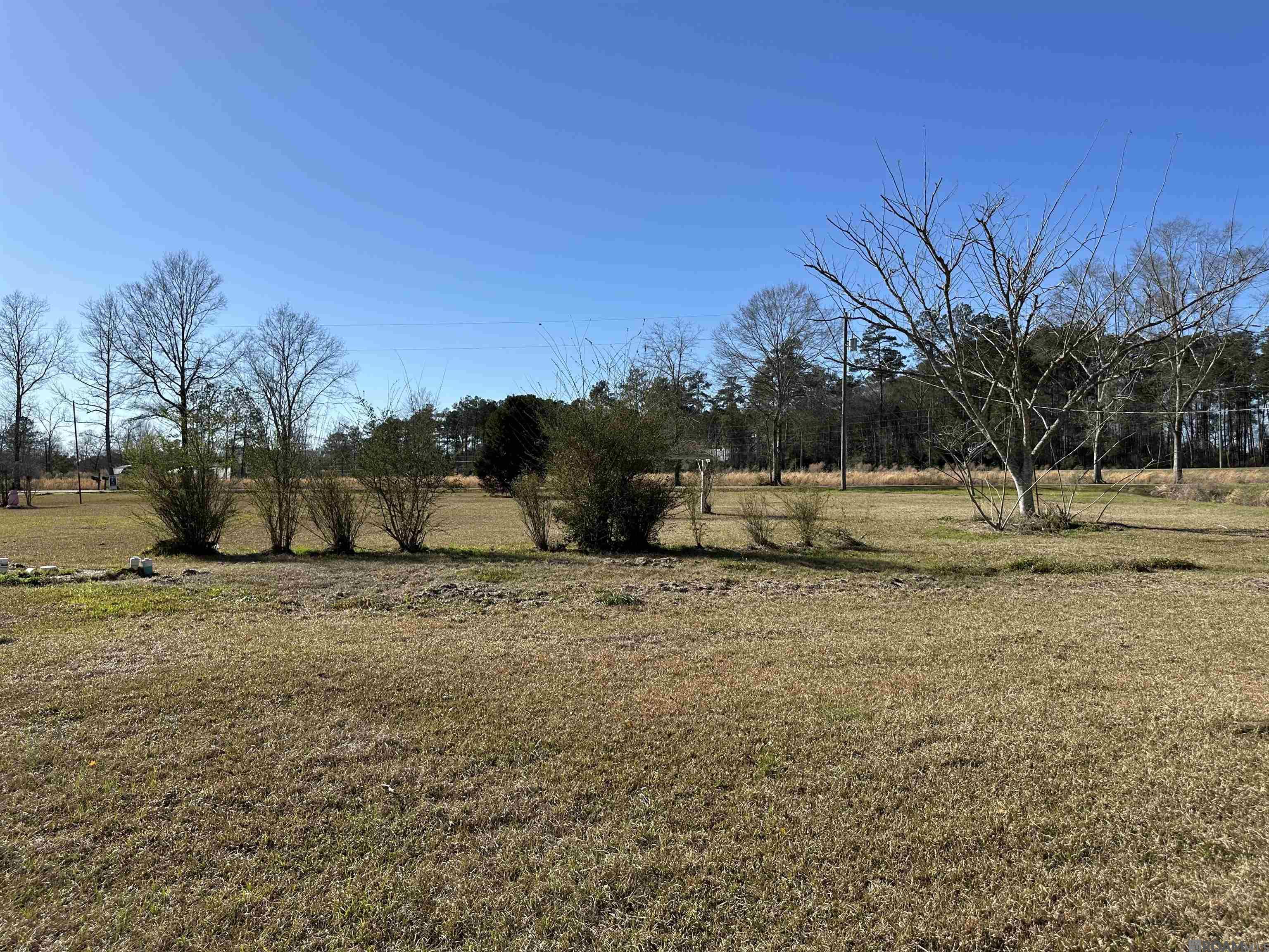 89 Sibley Rd, Pine Grove, Louisiana image 8