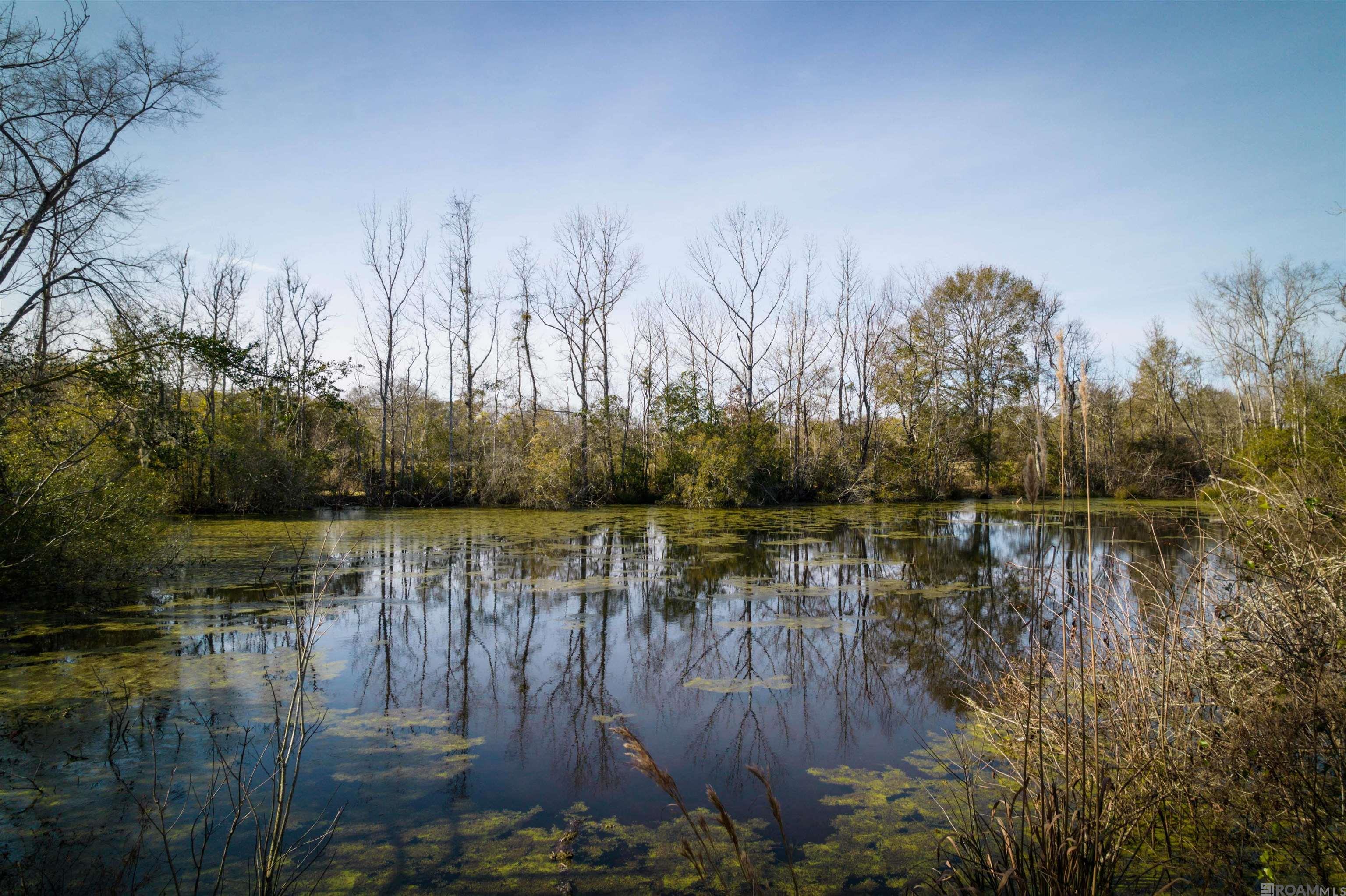 7474 Lemon Rd, Slaughter, Louisiana image 9