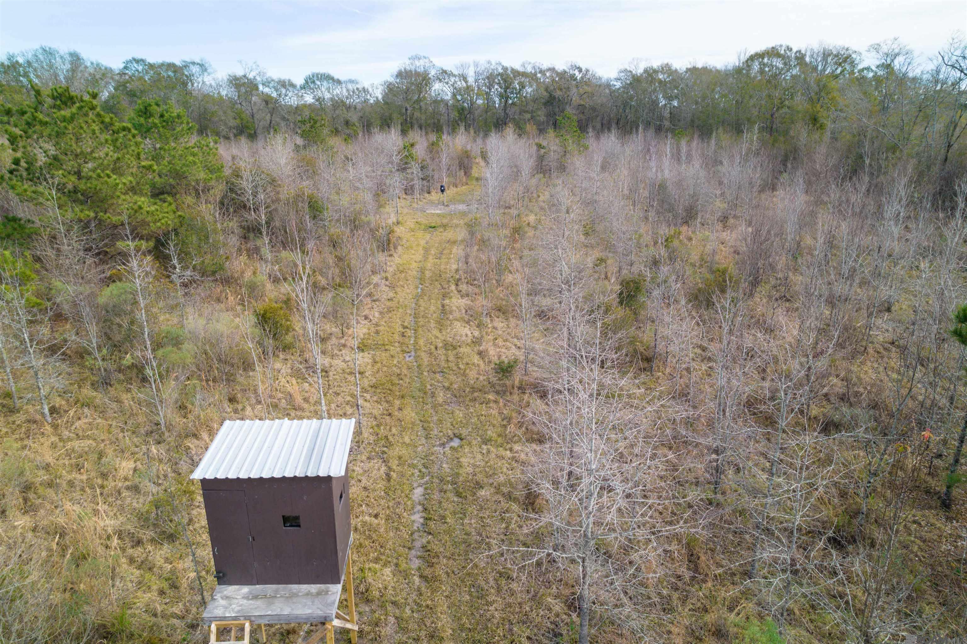 7474 Lemon Rd, Slaughter, Louisiana image 7