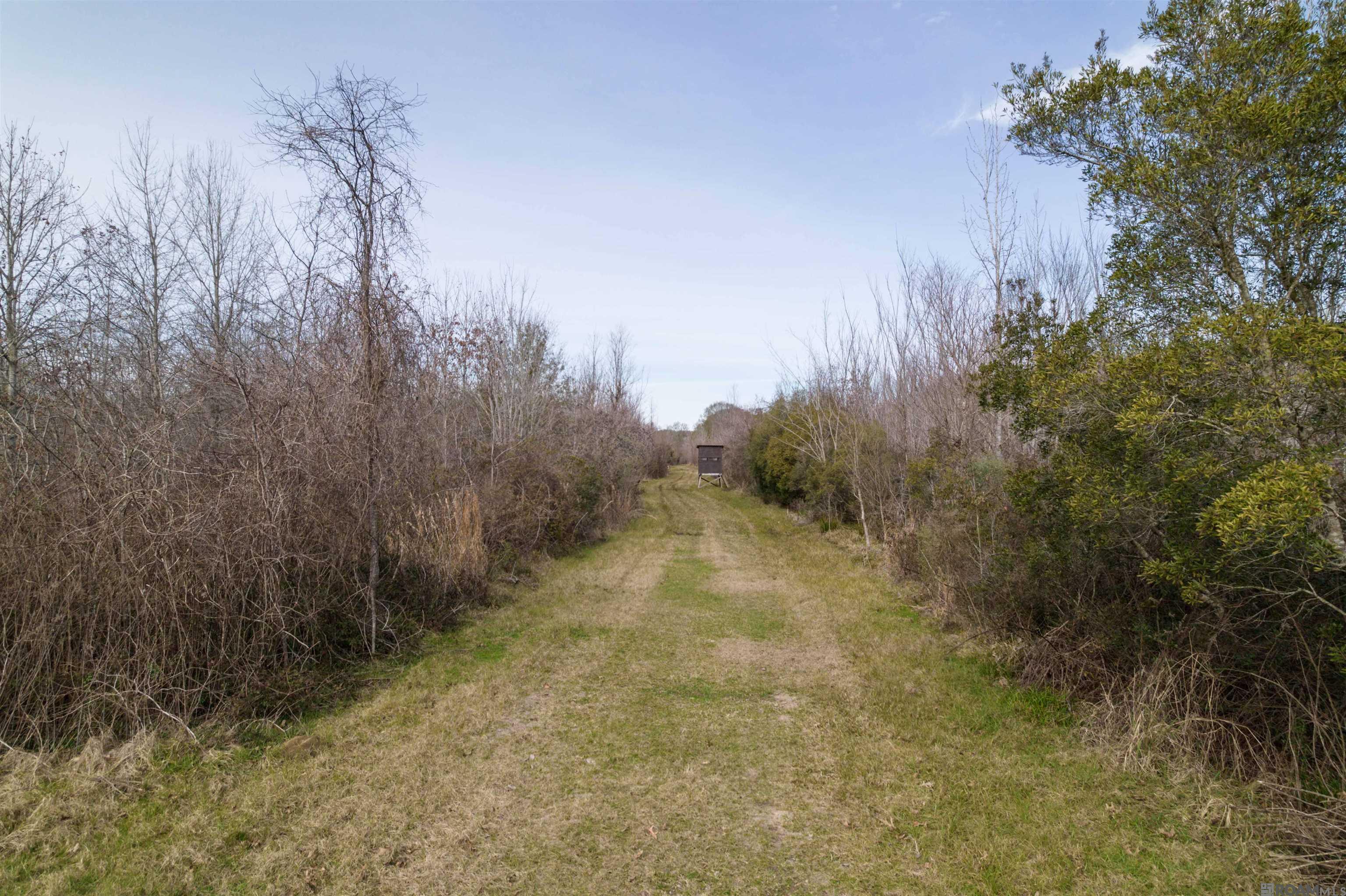 7474 Lemon Rd, Slaughter, Louisiana image 8