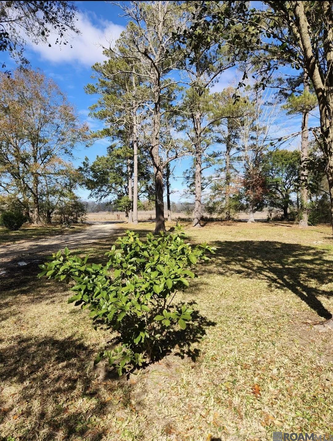 1650 E Flonacher Rd, Zachary, Louisiana image 14