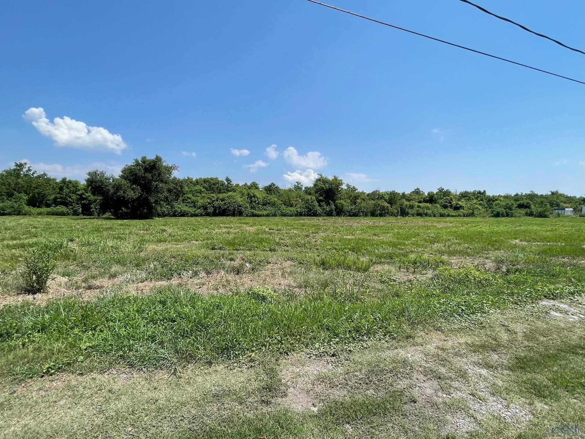 Lot 7 Blk 2 East 93rd Street, Cut Off, Louisiana image 2