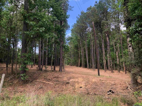 Vacant Land For Sale - TBD Hatfield Ln<br/> Jackson, LA 70748