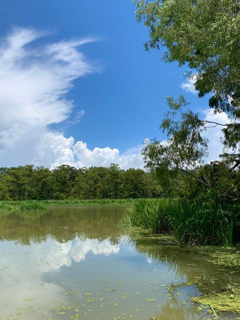 Vacant Land For Sale - 6934 Hwy 182<br/> Saint Mary County, Centerville, LA 70522
