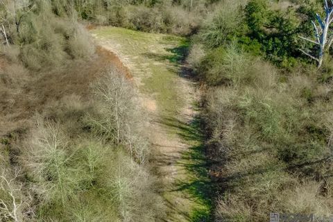 Vacant Land For Sale - TBD Boomerang Rd<br/> Saint Helena County, Amite, LA 70422
