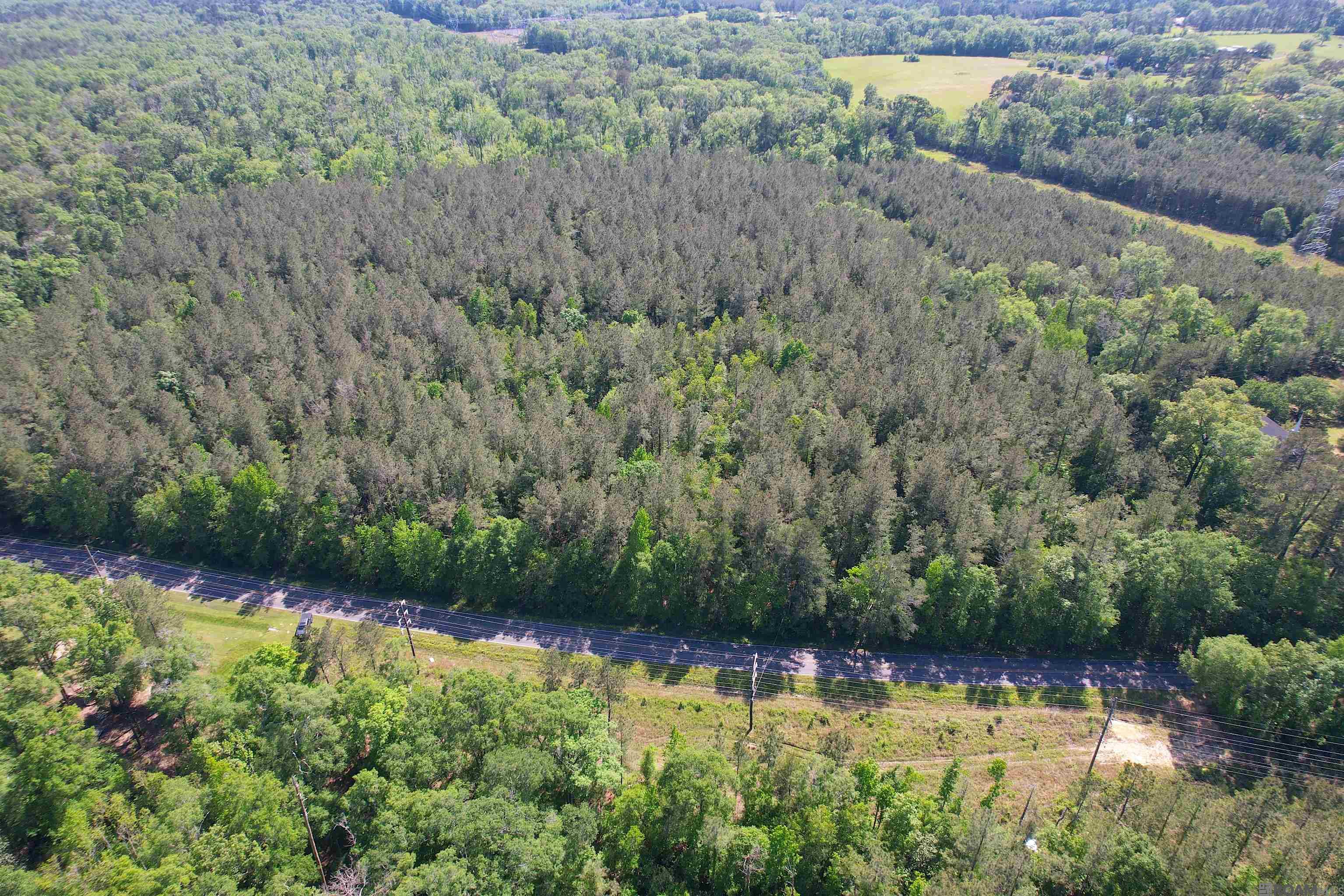 TBD La Hwy 63, Clinton, Louisiana image 4