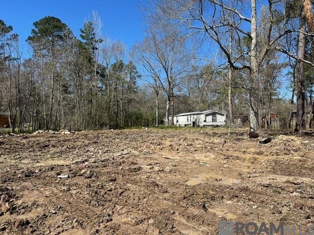 28870 Mcarthur Dr, Livingston, Louisiana image 3