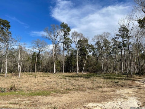 Vacant Land For Sale - LOT 9 Ridgeway Ave<br/> Denham Springs, LA 70726