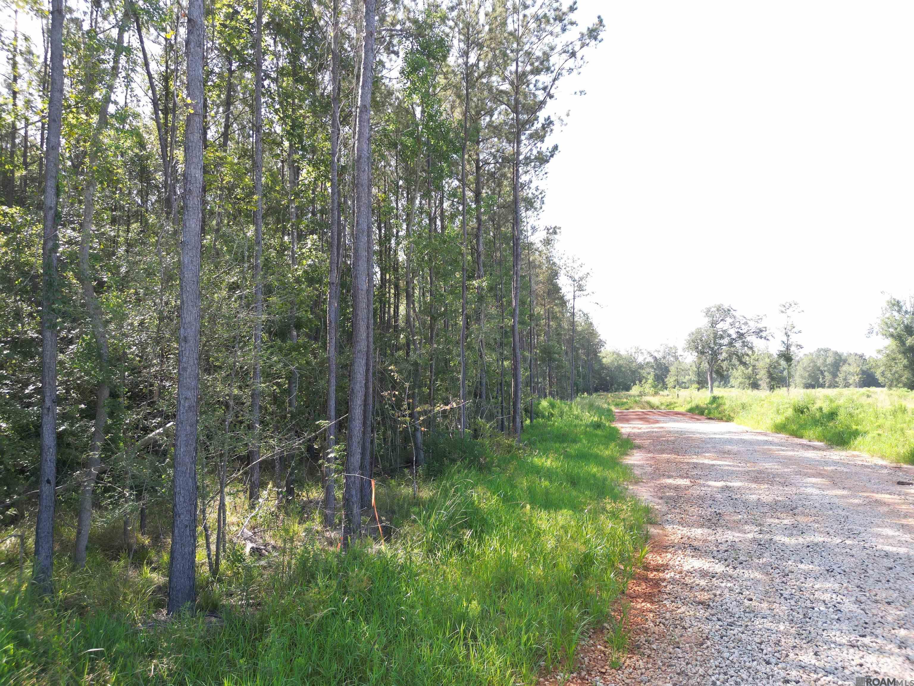 LOT 3 Critter Cove Ln, Livingston, Louisiana image 15