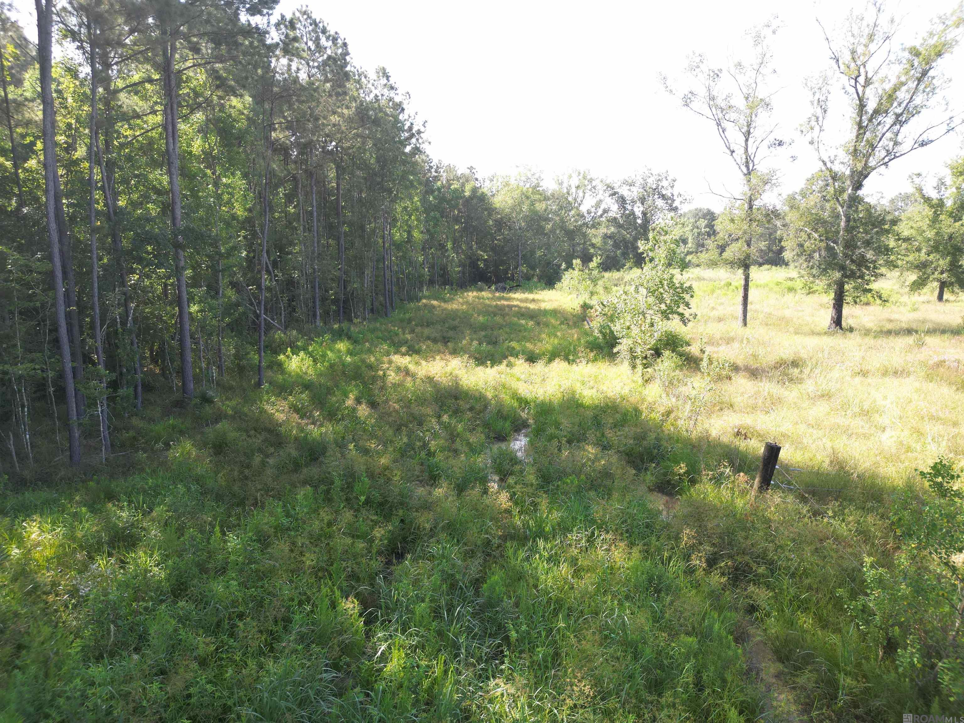 LOT 3 Critter Cove Ln, Livingston, Louisiana image 10