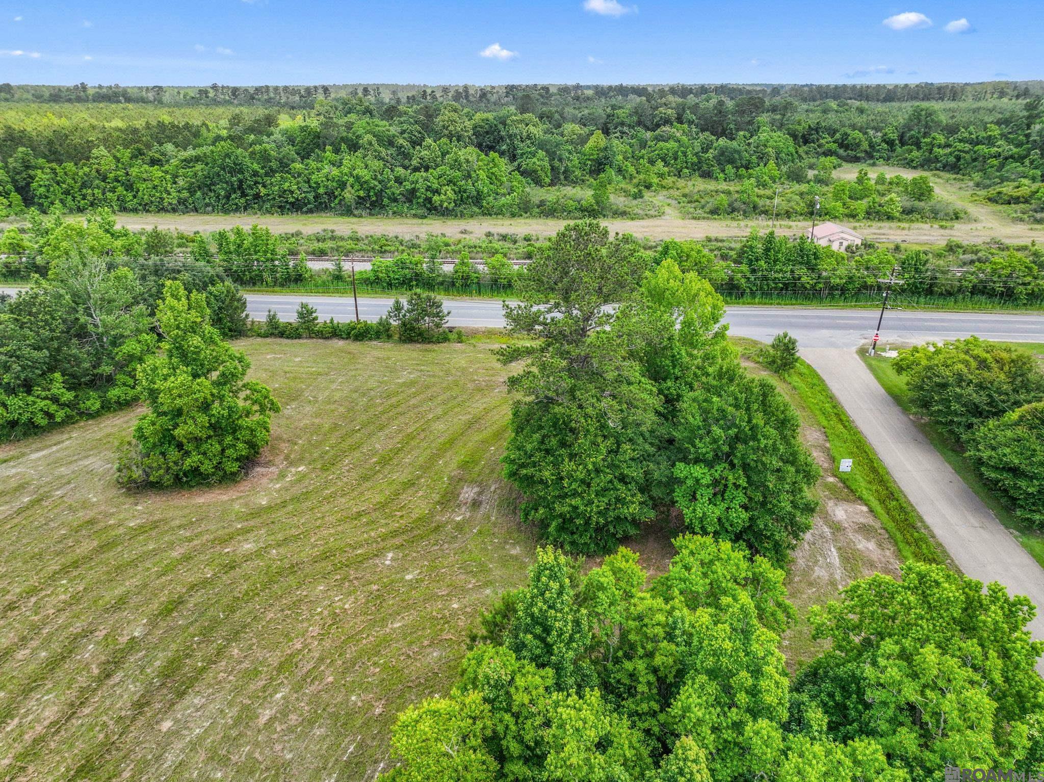 Tract MM-1-C Florida Blvd, Livingston, Louisiana image 12