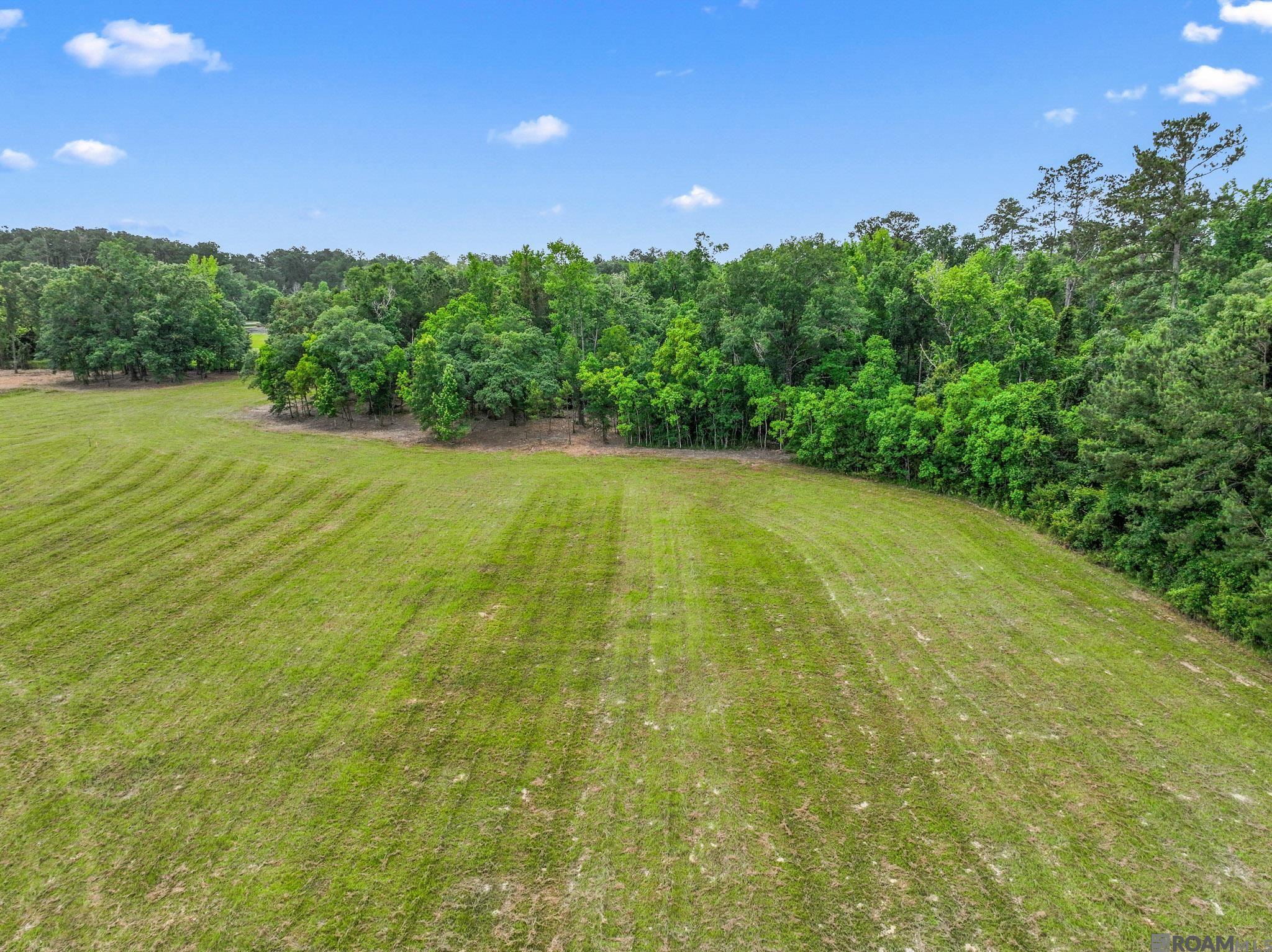 Tract MM-1-C Florida Blvd, Livingston, Louisiana image 15