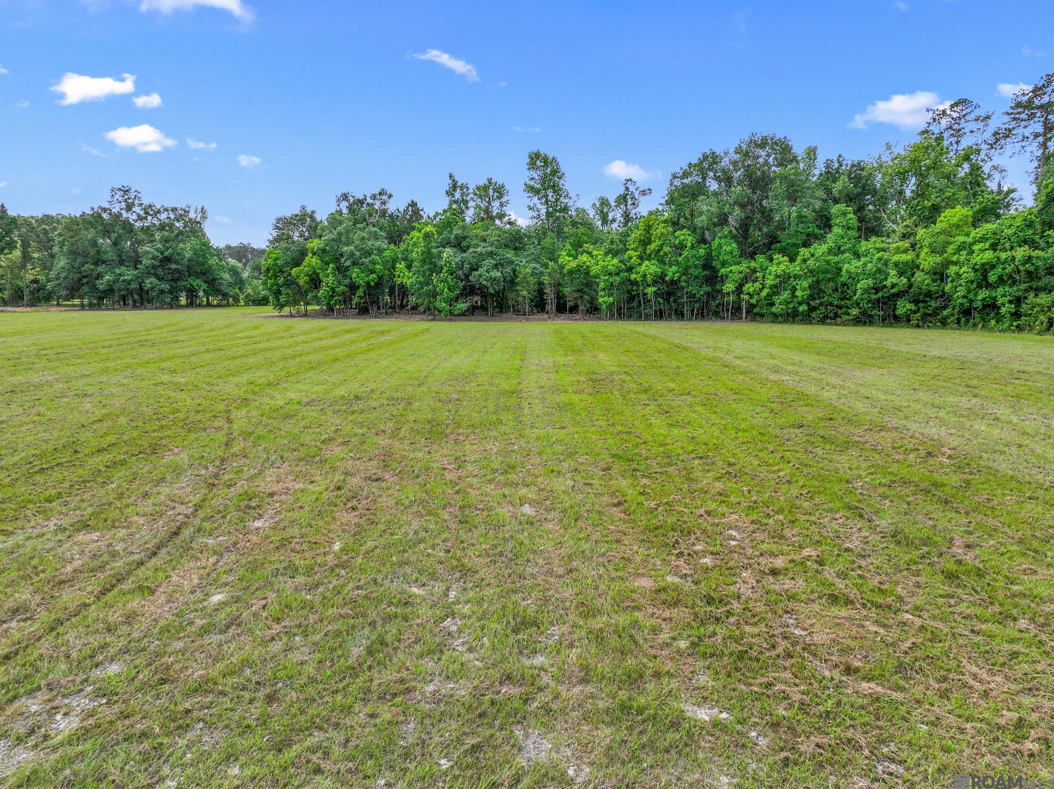 Tract MM-1-C Florida Blvd, Livingston, Louisiana image 16