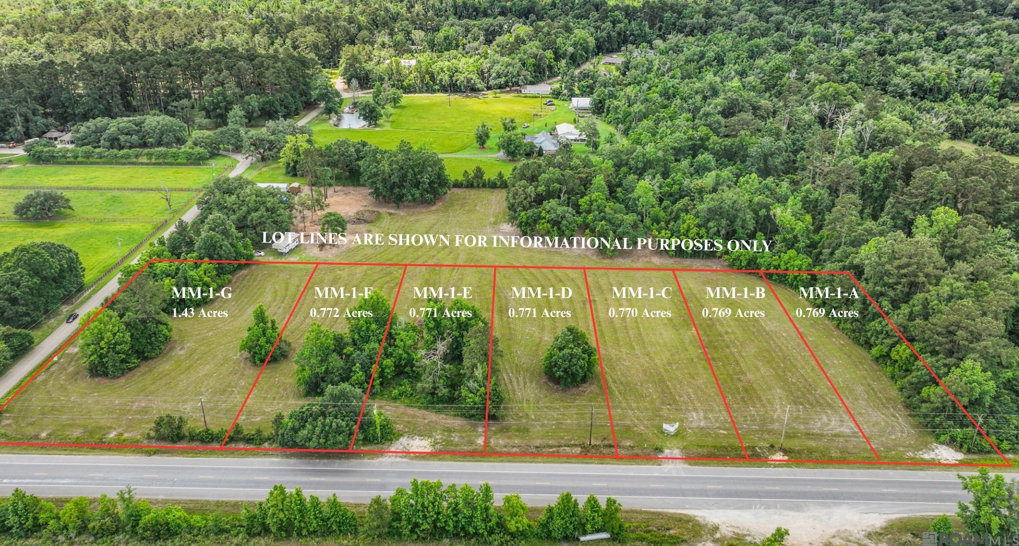 Tract MM-1-C Florida Blvd, Livingston, Louisiana image 1