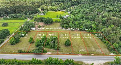 Tract MM-1-C Florida Blvd Livingston LA 70754