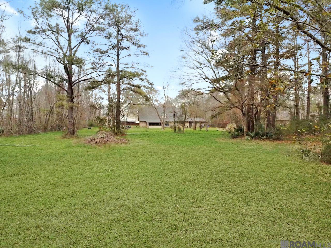 11334 Sandra Dr, Denham Springs, Louisiana image 4