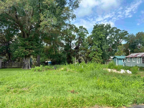 Vacant Land For Sale - 1621 Camelia Ave<br/> East Baton Rouge County, Baker, LA 70714