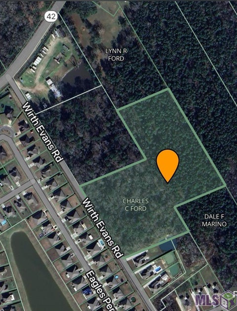 Vacant Land For Sale - Wirth Evans Rd<br/> Prairieville, LA 70769