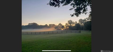 Vacant Land For Sale - B-5-B-1-A La Hwy 67<br/> Clinton, LA 70722