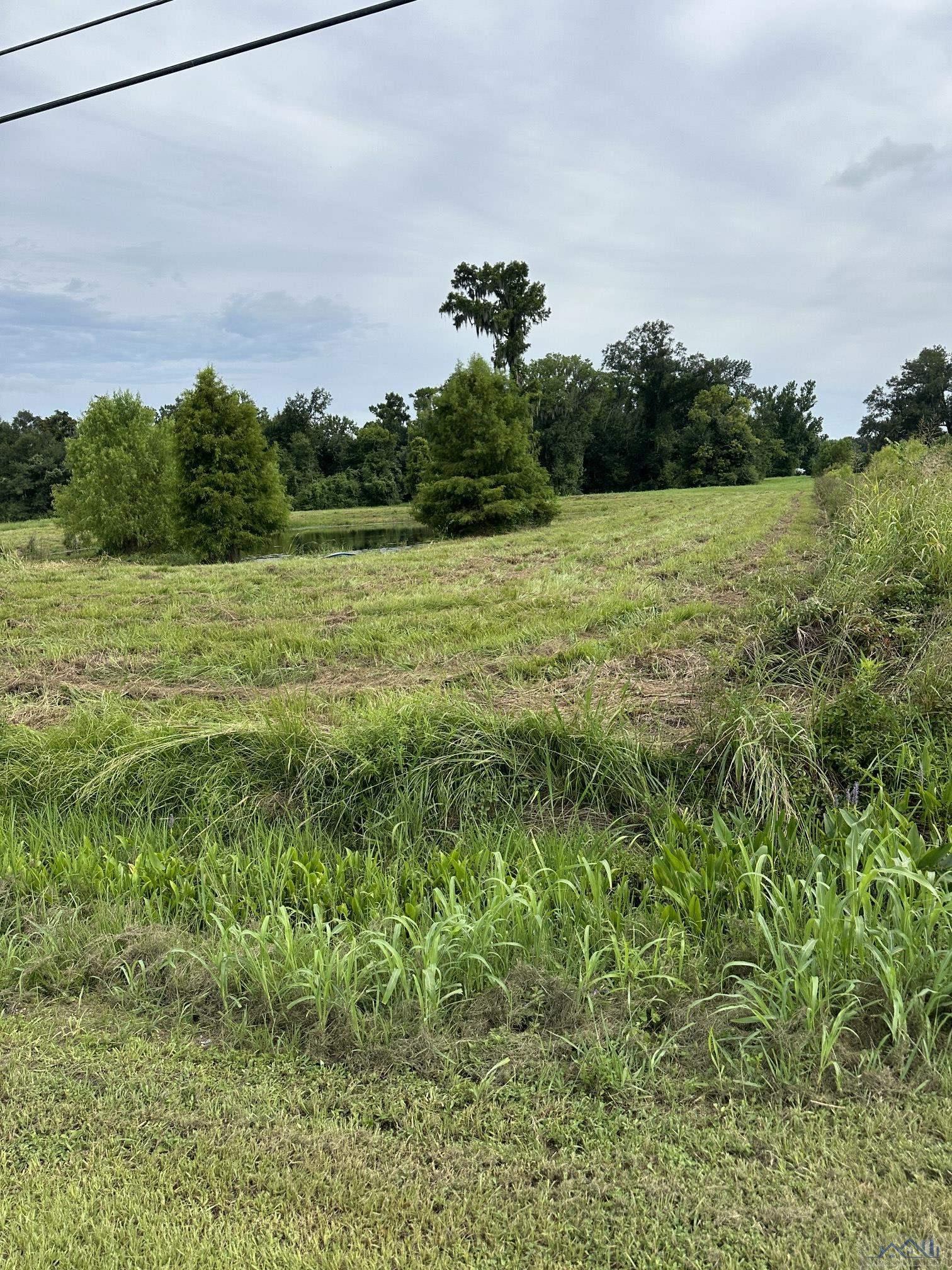 159 Baja Trail, Thibodaux, Louisiana image 9