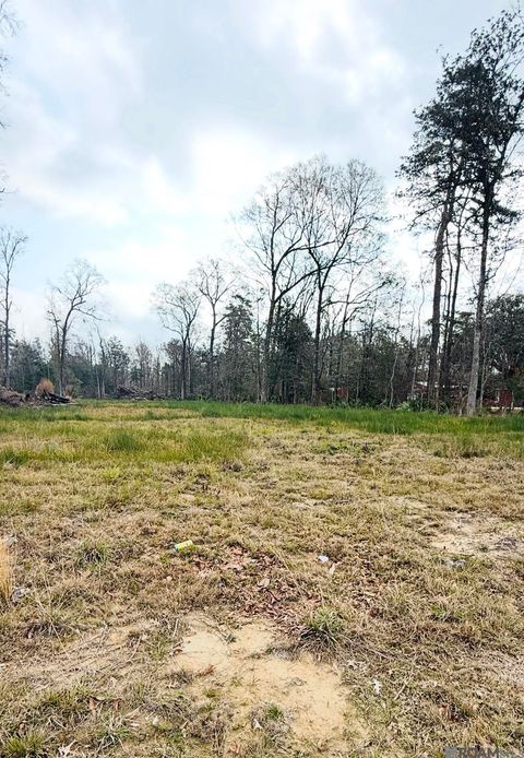 Vacant Land For Sale - 29490 Red Oak Dr<br/> Walker, LA 70785