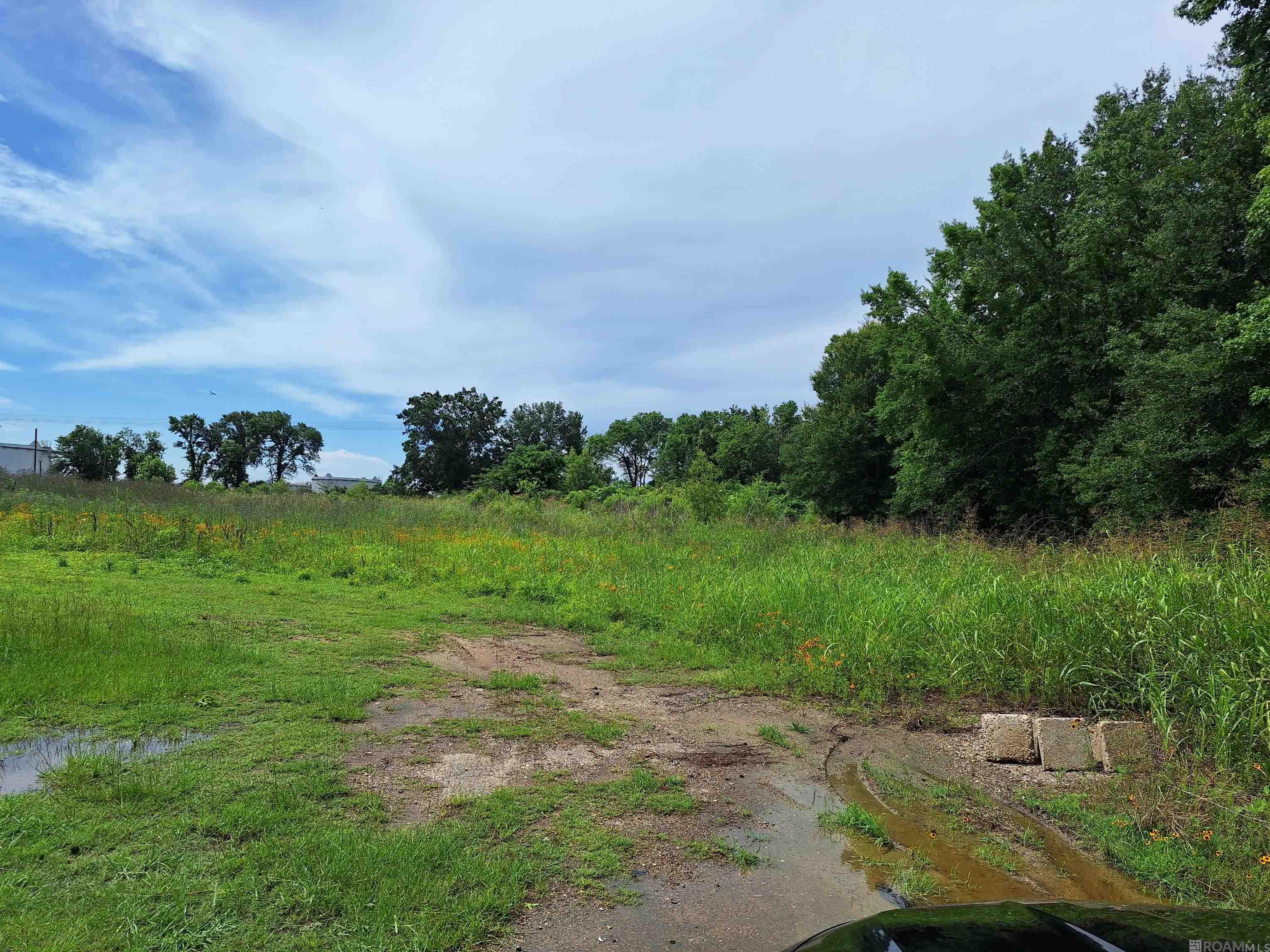 2454 Gore Rd, Baton Rouge, Louisiana image 1