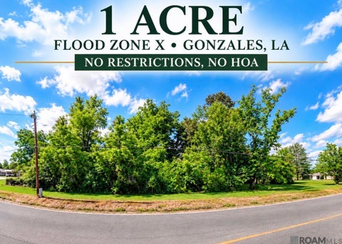 Vacant Land For Sale - 42436 La Hwy 621<br/> Gonzales, LA 70737