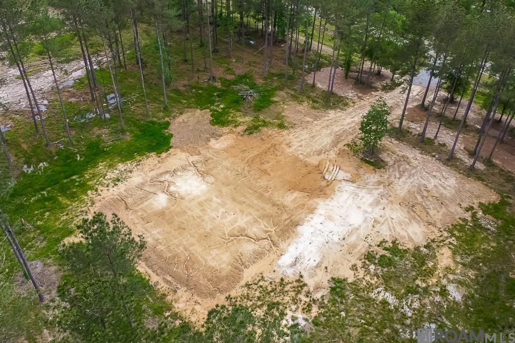 27674 S Frost Rd, Livingston, Louisiana image 1