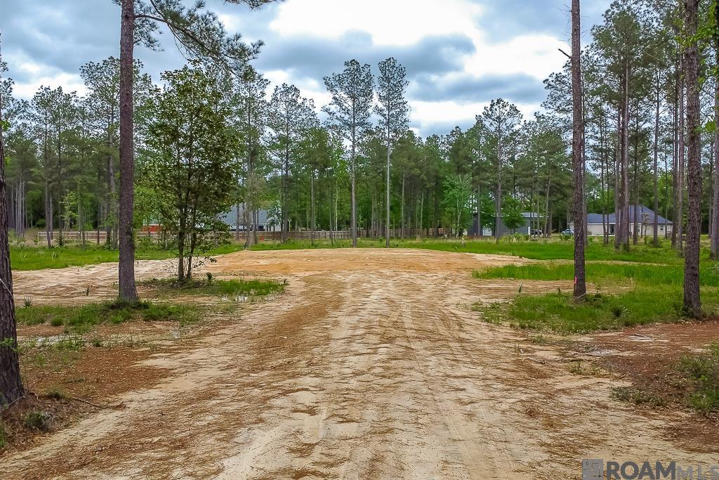 27674 S Frost Rd, Livingston, Louisiana image 6