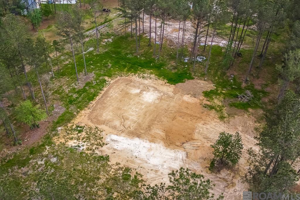 27674 S Frost Rd, Livingston, Louisiana image 4