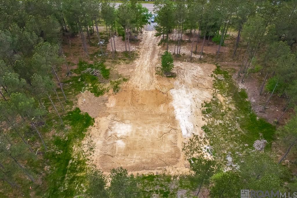 27674 S Frost Rd, Livingston, Louisiana image 3