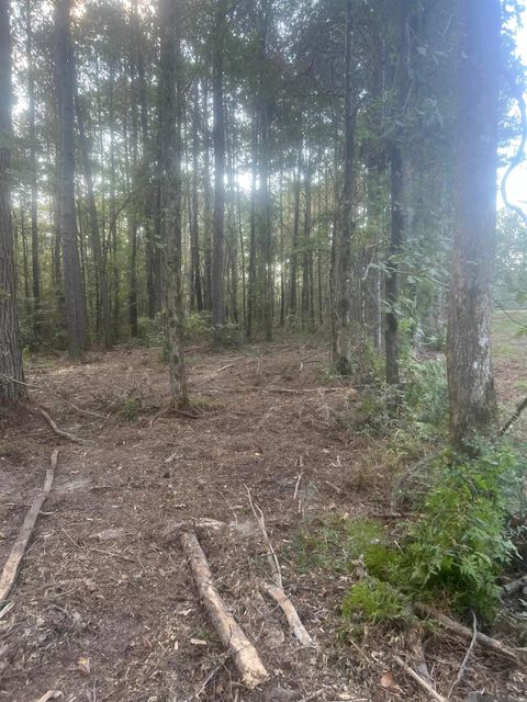 Vacant Land For Sale - TBD-B2 La Hwy 10<br/> Clinton, LA 70722