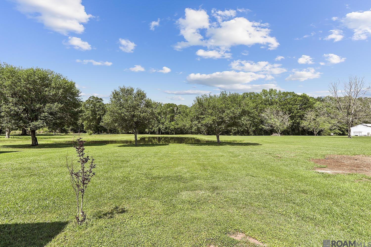 15685 Joor Rd, Zachary, Louisiana image 3