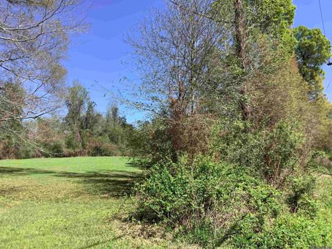 Vacant Land For Sale - 19.4 ACRES Fountain Young Rd<br/> Saint Helena County, Pine Grove, LA 70456