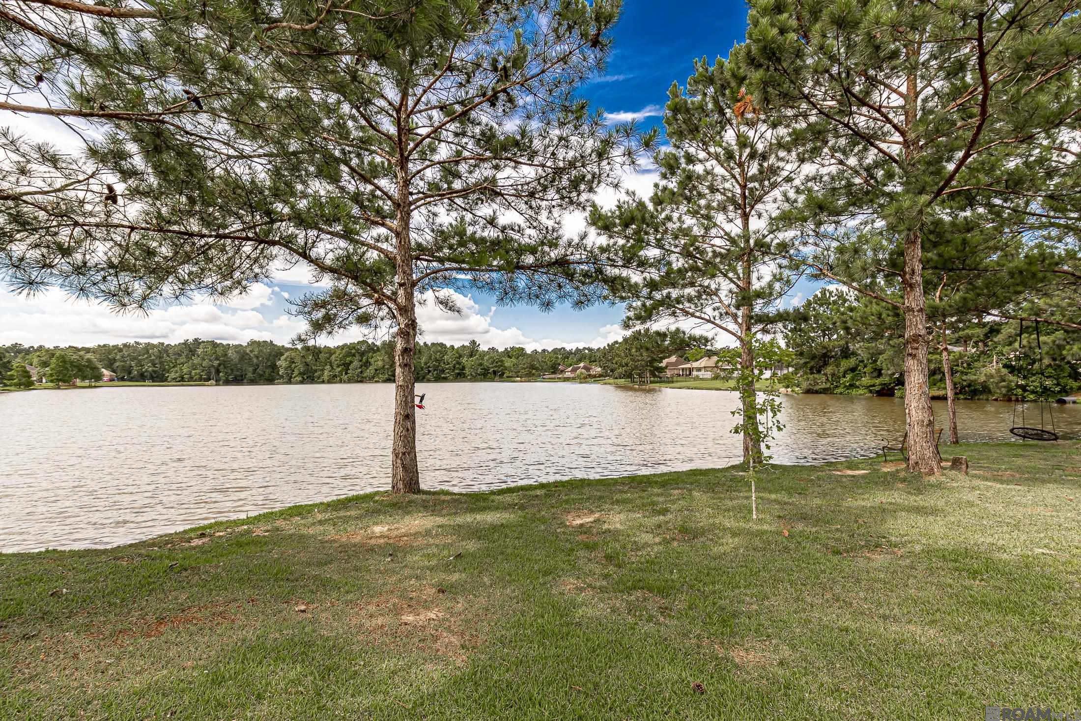 12440 Three Lakes Dr, Walker, Louisiana image 6