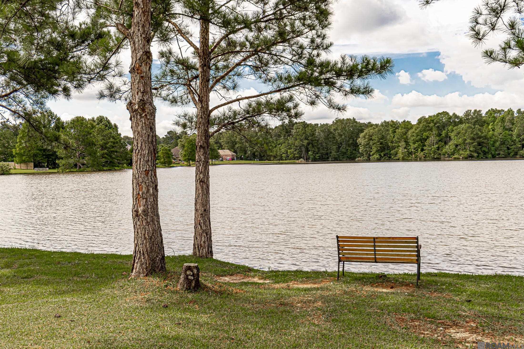 12440 Three Lakes Dr, Walker, Louisiana image 7