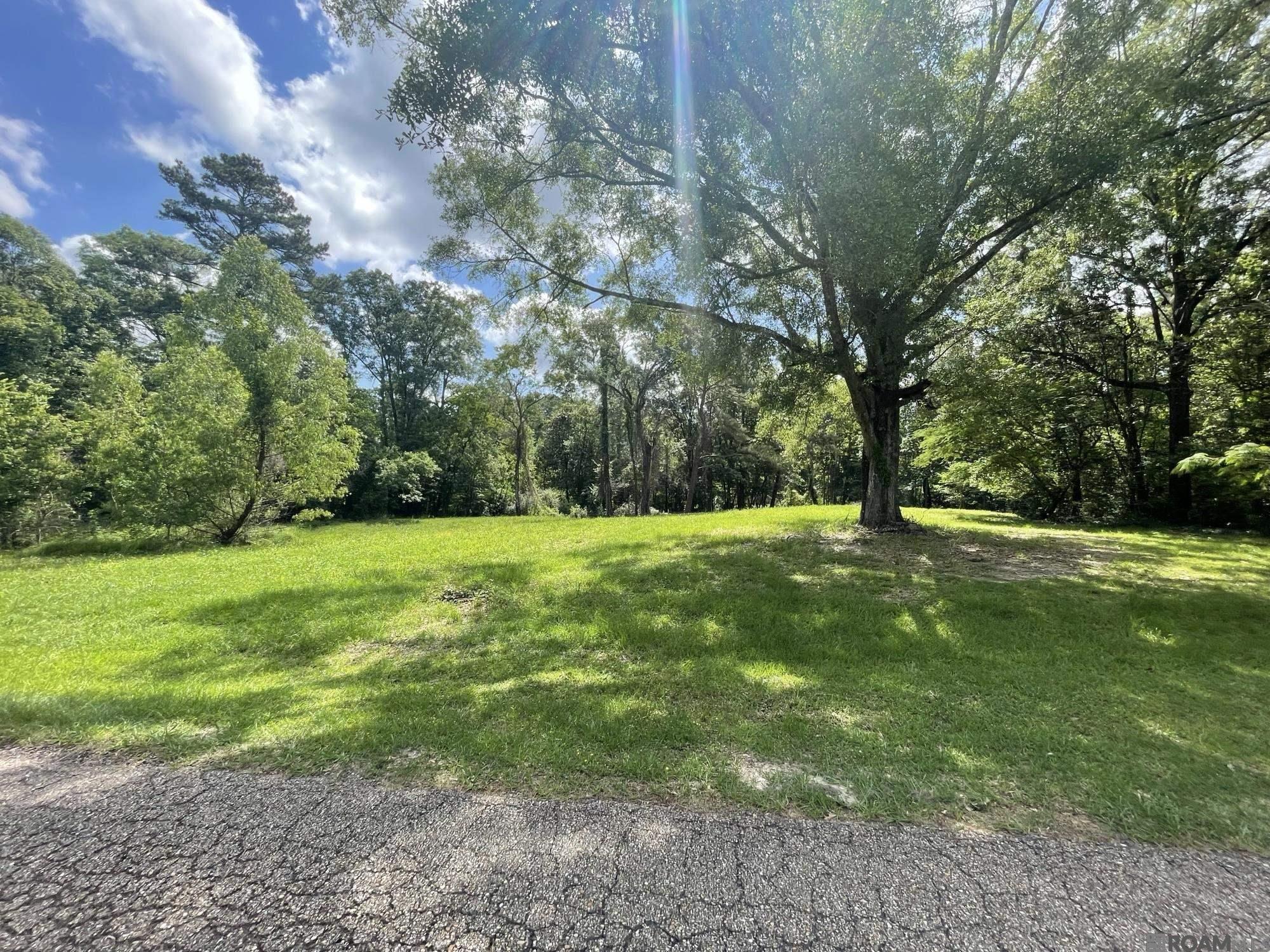 9606 Shady Bluff Dr, Baton Rouge, Louisiana image 1