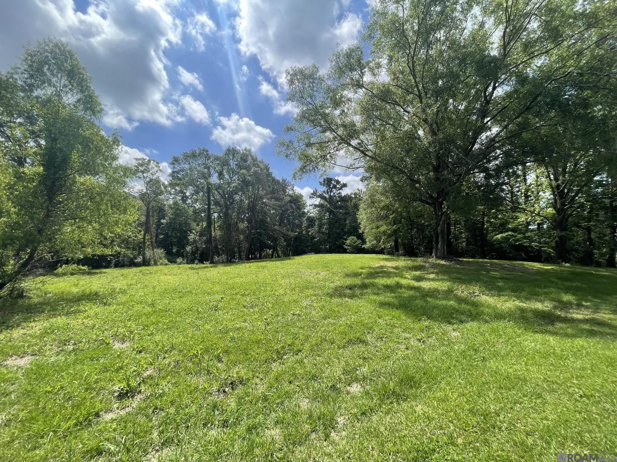 9606 Shady Bluff Dr, Baton Rouge, Louisiana image 3