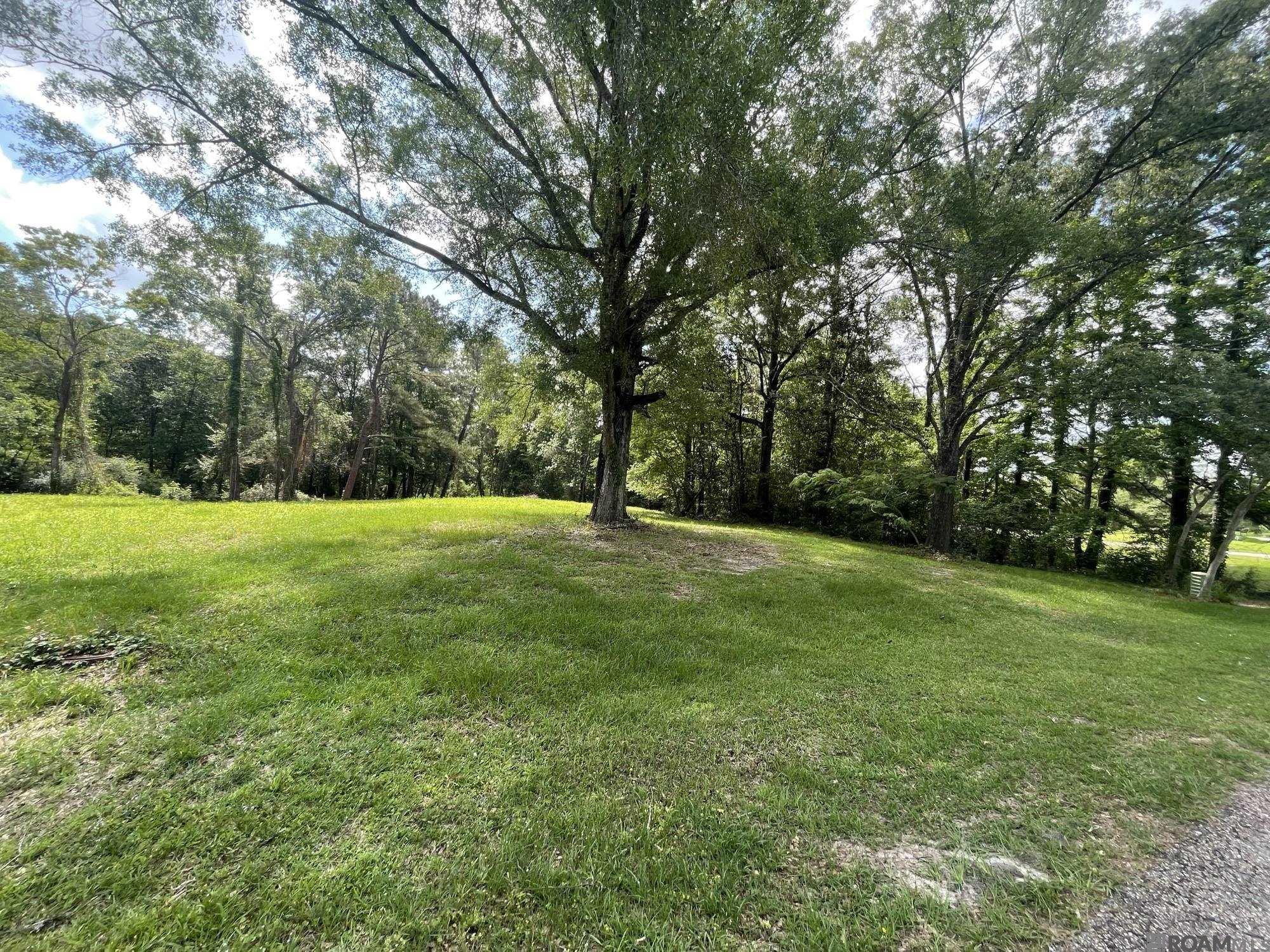 9606 Shady Bluff Dr, Baton Rouge, Louisiana image 4